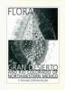 Flora_of_the_Gran_Desierto_and_Rio_Colorado_of_northwestern_Mexico